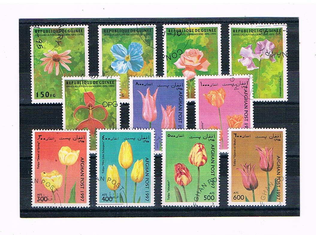 Tulips on Postage Stamps, Colourful Flower Stamps