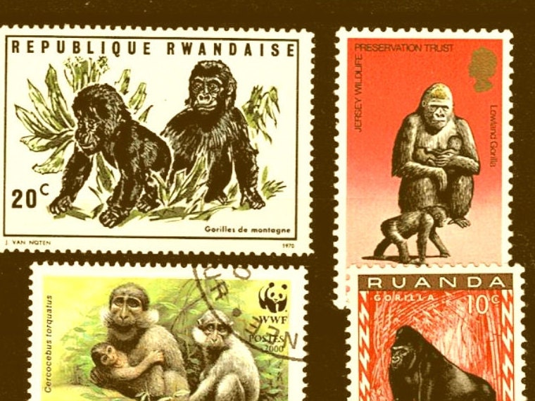 Great Ape Postage Stamp Selection - Gorilla, orangutan, monkey, chimpanzee Great Ape Postage Stamp Selection - Gorilla, orangutan, monkey, chimpanzee
