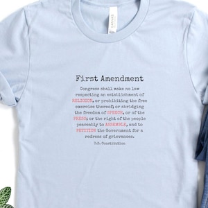 Puede incluir: Una camiseta azul claro con el texto "First Amendment" y el texto de la Primera Enmienda. La camiseta se combina con vaqueros azules y zapatillas deportivas grises claras.