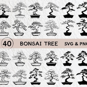 Bonsai Tree Svg Bundle, Bonsai Tree Silhouette, Bonsai Tree Clipart Png, Bonsai Tree Outline, Bonsai Tree Vector, Bonsai Tree Logo Tree Icon