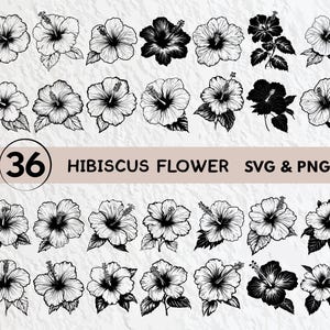Hibiscus Flower Svg Bundle, Hibiscus Flower Silhouette, Hibiscus Flower Clipart, Hibiscus Flower Outline, Hibiscus Flower Logo Icon File Svg