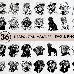 Neapolitan Mastiff Dog SVG Bundle: Silhouette Clipart (PNG, Vector)