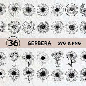 Gerbera Svg Bundle, Gerbera Silhouette, Gerbera Clipart Png, Gerbera Outline, Gerbera Vector, Gerbera Logo, Gerbera Icon Decal Cricut Files