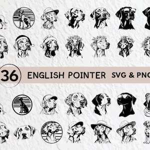 English Pointer SVG Bundle: Dog Silhouette Clipart (PNG, Vector)