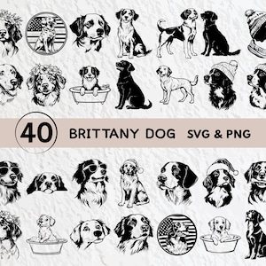 Bundle Silhouette chien Bretagne Png, contour Svg chien Bretagne, Png amoureux des chiens Bretagne, cadeau fichier Cricut chien Bretagne, Logo sticker chien Bretagne