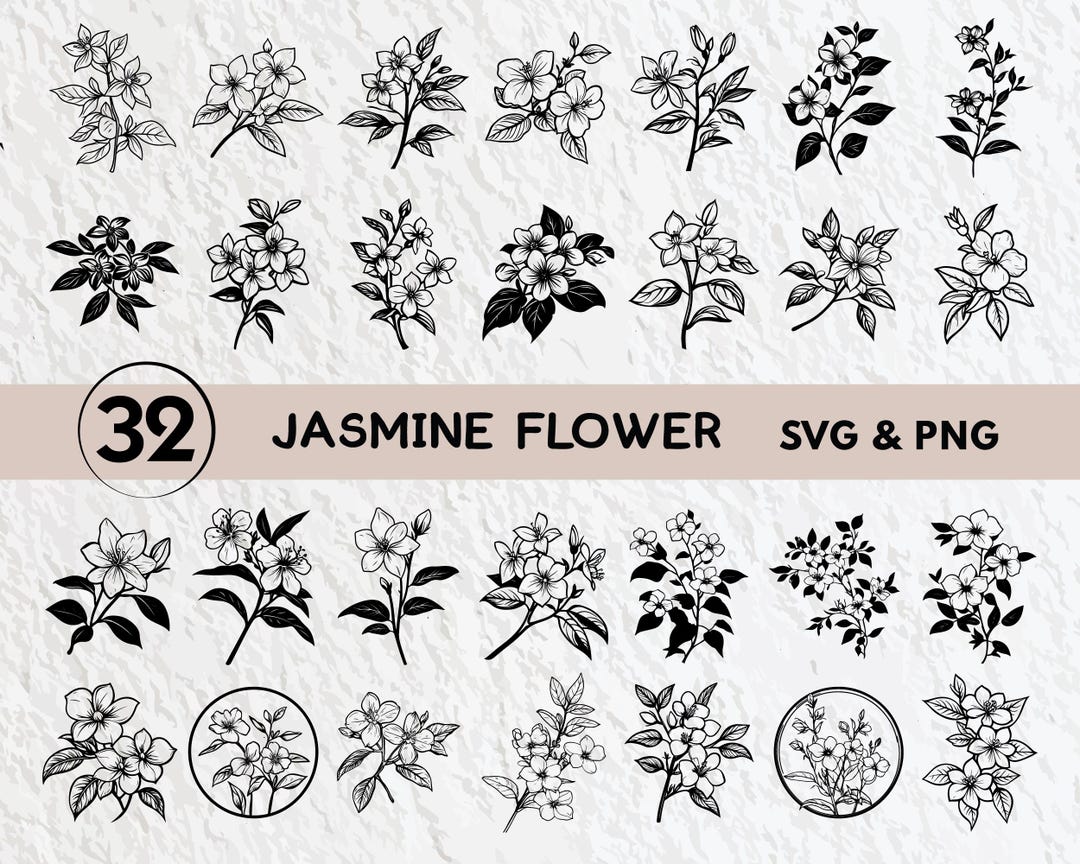 Jasmine Flower SVG Bundle: Silhouette Clipart, Logo Icon (digital Download)  - Etsy, image size:1080x864