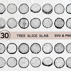 May include: A set of 30 black and white illustrations of tree slice slabs. The illustrations are in a circular shape and show the rings of the tree. The text "30 Tree Slice Slab SVG & PNG" is at the top of the image.