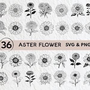 Aster Flower SVG Bundle: Floral Clipart, Logo Icon Files