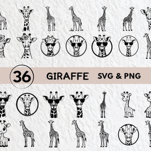Giraffe SVG Bundle: Silhouette, Clipart, Vector (PNG, SVG)