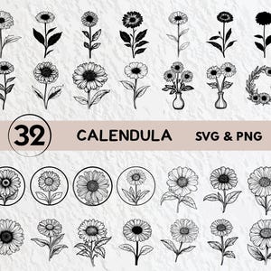 Calendula Flower SVG Bundle: Silhouette, Clipart, Vector (PNG, Cricut Files)