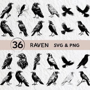 Raven Svg Bundle, Raven Silhouette, Raven Clipart Png, Raven Outline, Raven Vector, Raven Logo, Raven Icon, Raven Cricut Svg Cut Files Png
