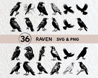Raven Silhouette Vector Art: Raven Svg Bundle (PNG, Cricut Cut Files)