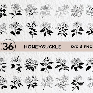 Honeysuckle SVG Bundle: Floral Silhouette, Clipart, Vector (Digital Download)