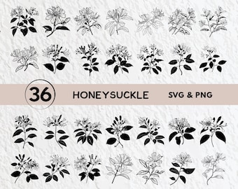 Kaprifol SVG-paket: Blommig silhuett, Clipart, Vektor (Digital nedladdning)
