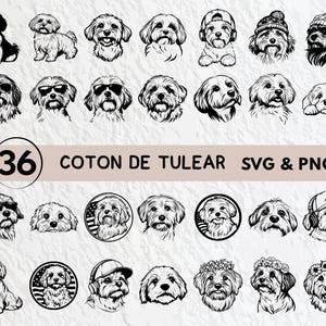 Coton De Tulear Dog Svg Bundle, Coton De Tulear Silhouette, Coton De Tulear Clipart Png, Coton De Tulear Outline, Coton De Tulear Logo Files