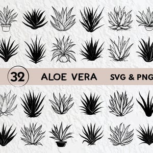 Aloe Vera Svg, Aloe Vera Silhouette Bundle, Aloe Vera Clipart, Aloe Vera Decal, Aloe Vera Vector, Aloe Vera Cut File For Cricut Icon Logo