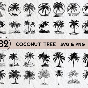 Coconut Tree Svg Bundle, Coconut Tree Silhouette, Coconut Tree Clipart Png, Coconut Tree Vector, Coconut Tree Logo Icon Cricut Cut Files Svg