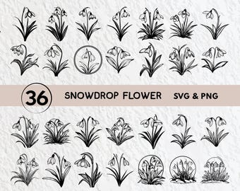 Schneeglöckchen Blume SVG Bundle: Silhouette, Clipart, Vektor (Digitaler Download)
