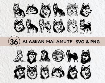May include: A set of 36 black and white SVG and PNG digital files featuring Alaskan Malamute dog illustrations in various poses, including standing, sitting, and wearing hats.