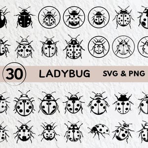 May include: A set of 30 black and white ladybug illustrations, perfect for crafting projects, scrapbooking, or digital design. The illustrations feature various ladybug poses and designs, including a ladybug with wings spread, a ladybug with its legs outstretched, and a ladybug with its antennae raised.