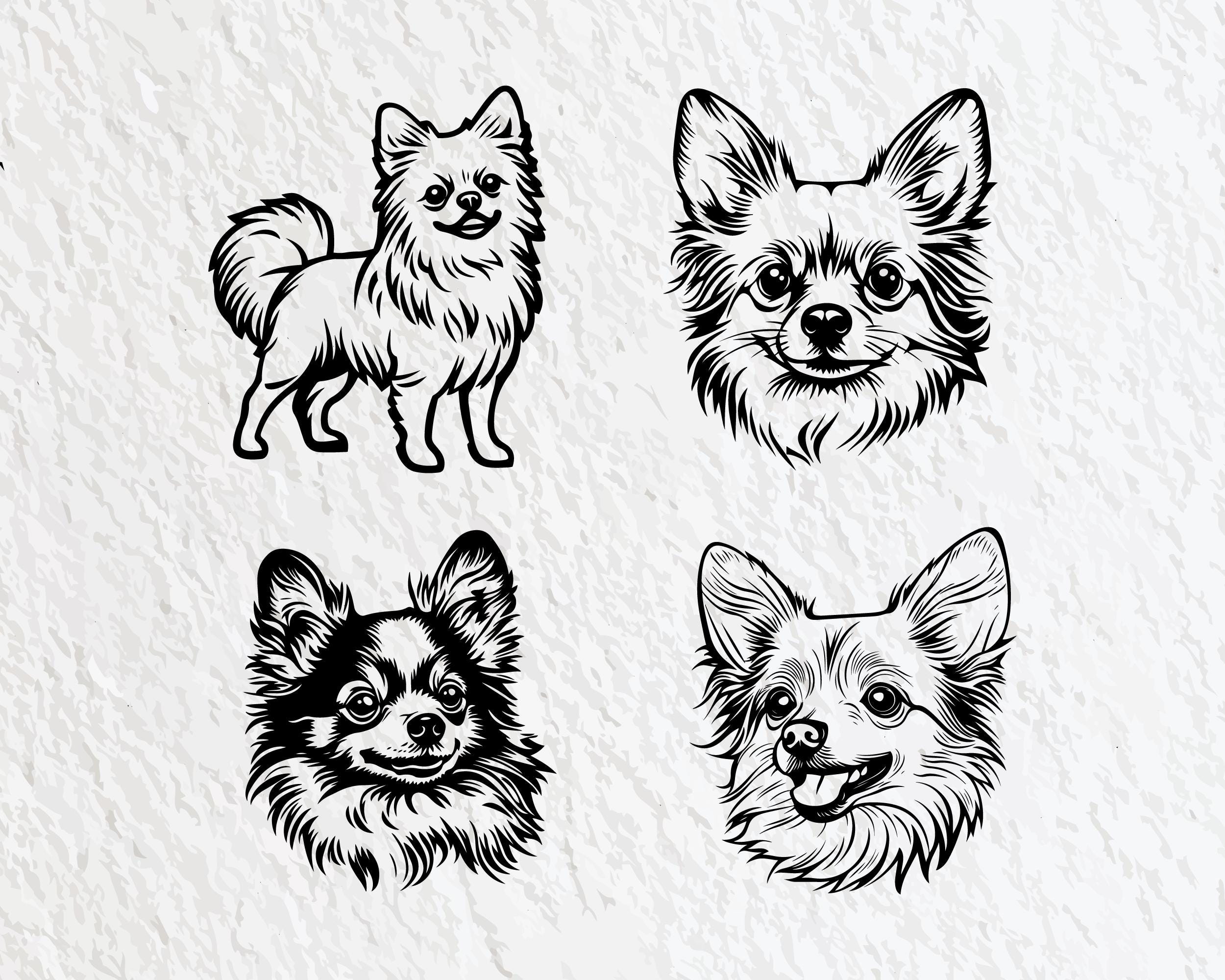 Pomchi Dog Svg Bundle, Pomchi Dog Silhouette, Pomchi Dog Clipart Png ...