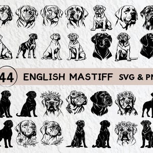 English Mastiff Silhouette Bundle: SVG & PNG Clipart, Decal Files