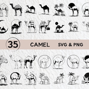 Camel Svg Bundle, Camel Silhouette, Camel Clipart Png, Camel Outline, Camel Vector, Camel Logo, Camel Icon Decal Cricut Files Svg