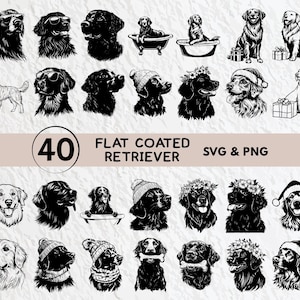May include: A set of 40 black and white vector illustrations of Flat Coated Retrievers in various poses. The illustrations include dogs wearing hats, flowers, and other accessories. The text "40 Flat Coated Retriever SVG & PNG" is at the top of the image.