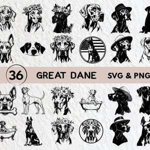 Great Dane Svg Bundle, Great Dane Silhouette, Great Dane Clipart Png, Great Dane Outline, Great Dane Vector, Great Dane Icon Cricut Svg File