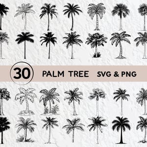 Palm Tree SVG Bundle: Silhouette Clipart, Vector Logo (PNG, Cricut Files)
