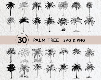 Palm Tree Svg Bundle, Palm Tree Silhouette, Palm Tree Clipart Png, Palm Tree Outline, Palm Tree Vector Logo, Palm Tree Icon Cricut Files Svg