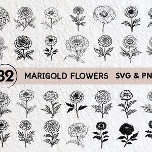 Ringblommor SVG-paket: Blommig Clipart, Vektorlogotyp (Digital Nedladdning)