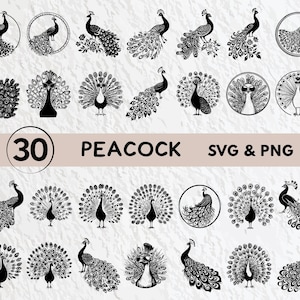 孔雀の SVG バンドル、孔雀のシルエット、孔雀のクリップアート PNG、孔雀のアウトライン、孔雀のベクター、孔雀のロゴ、孔雀のアイコン Cricut デカール ファイル