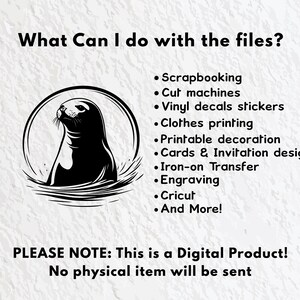 Seal Svg Bundle, Seal Silhouette, Seal Clipart Png, Seal Outline, Seal Vector, Seal Logo, Seal Icon, Seal Cricut Files, Seal Decal Cut Files