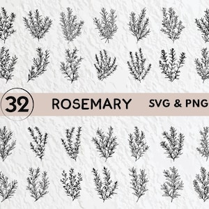 Rosemary SVG Bundle: Logo Icon Vector Clipart (PNG, Cricut, Decal)