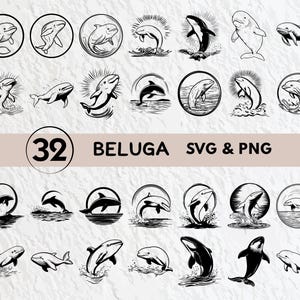 Beluga Svg Bundle, Beluga Silhouette, Beluga Clipart Png, Beluga Outline, Beluga Vector, Beluga Logo, Beluga Icon, Beluga Cricut Files Png