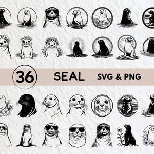 Seal Svg Bundle, Seal Silhouette, Seal Clipart Png, Seal Outline, Seal Vector, Seal Logo, Seal Icon, Seal Cricut Files, Seal Decal Cut Files