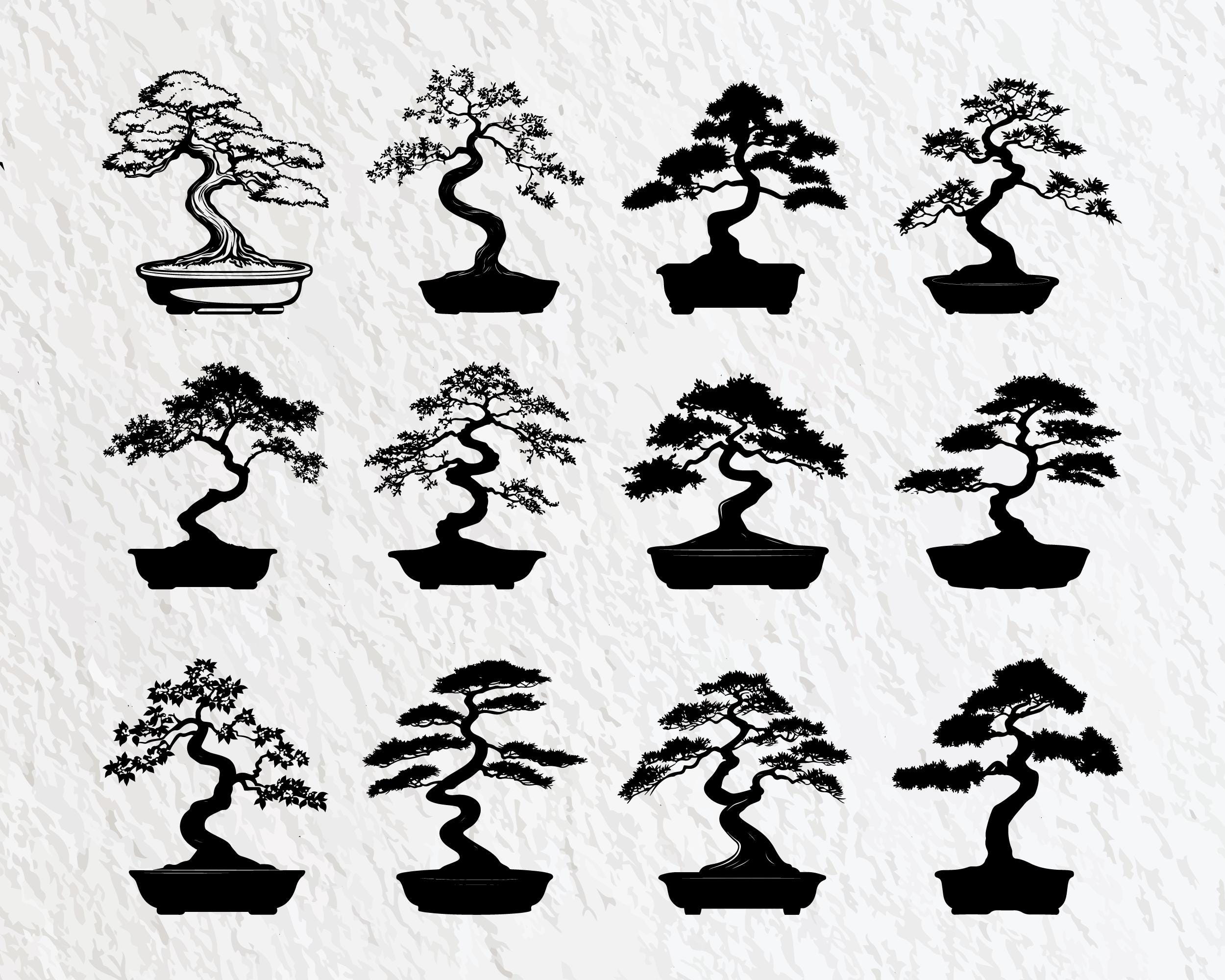 Bonsai Tree SVG Bundle: Silhouette Clipart, Logo Icon (PNG, Vector) - Etsy