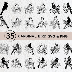 Kardinalvogel-Svg-Bundle, Kardinalvogel-Silhouette, Kardinalvogel-Clipart-Png, Kardinalvogelumriss, Kardinalvektor, Kardinallogosymbol