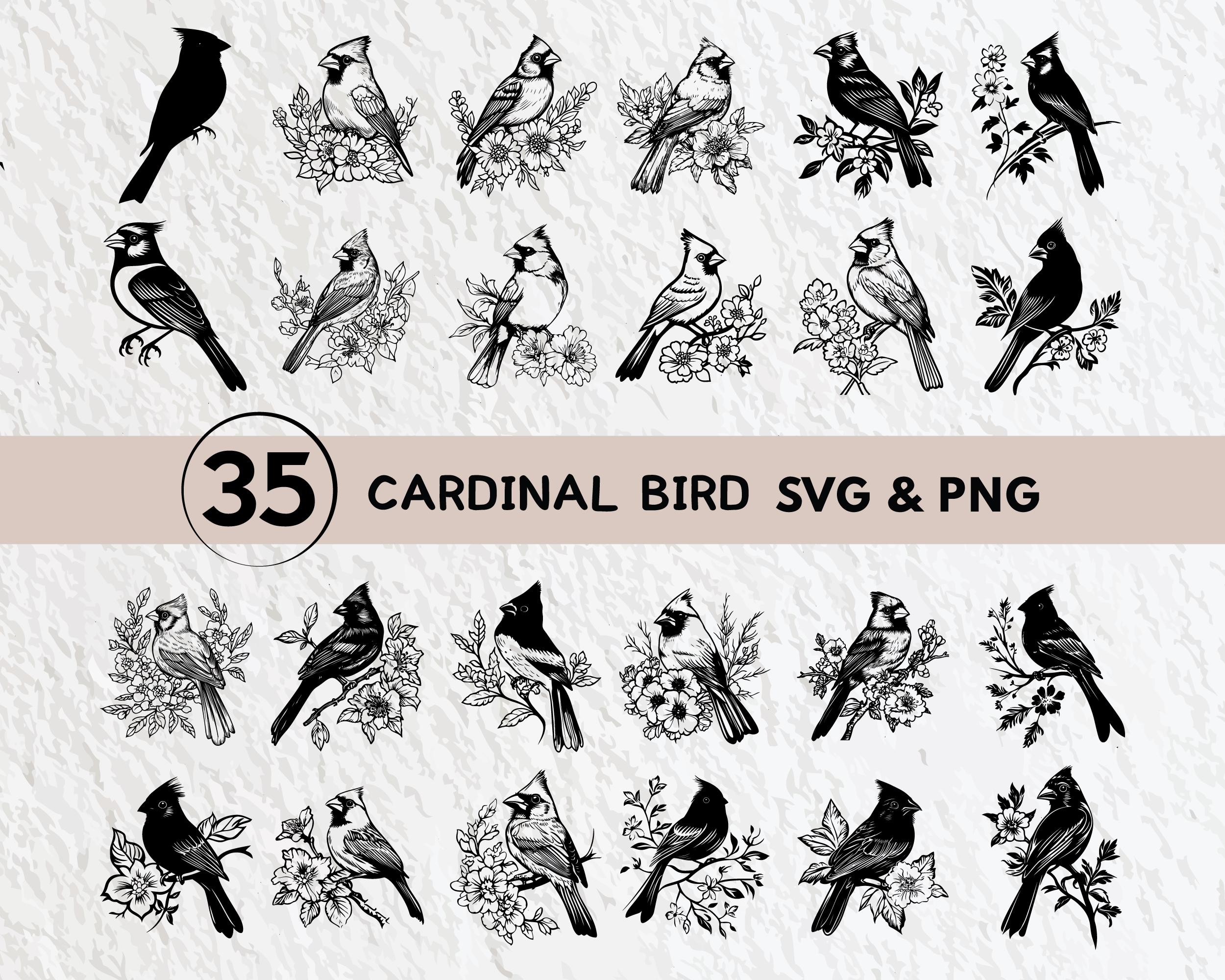 カーディナル鳥 SVG バンドル — シルエット、アウトライン、クリップアート PNG、Cricut & Silhouette 用ベクターアイコン