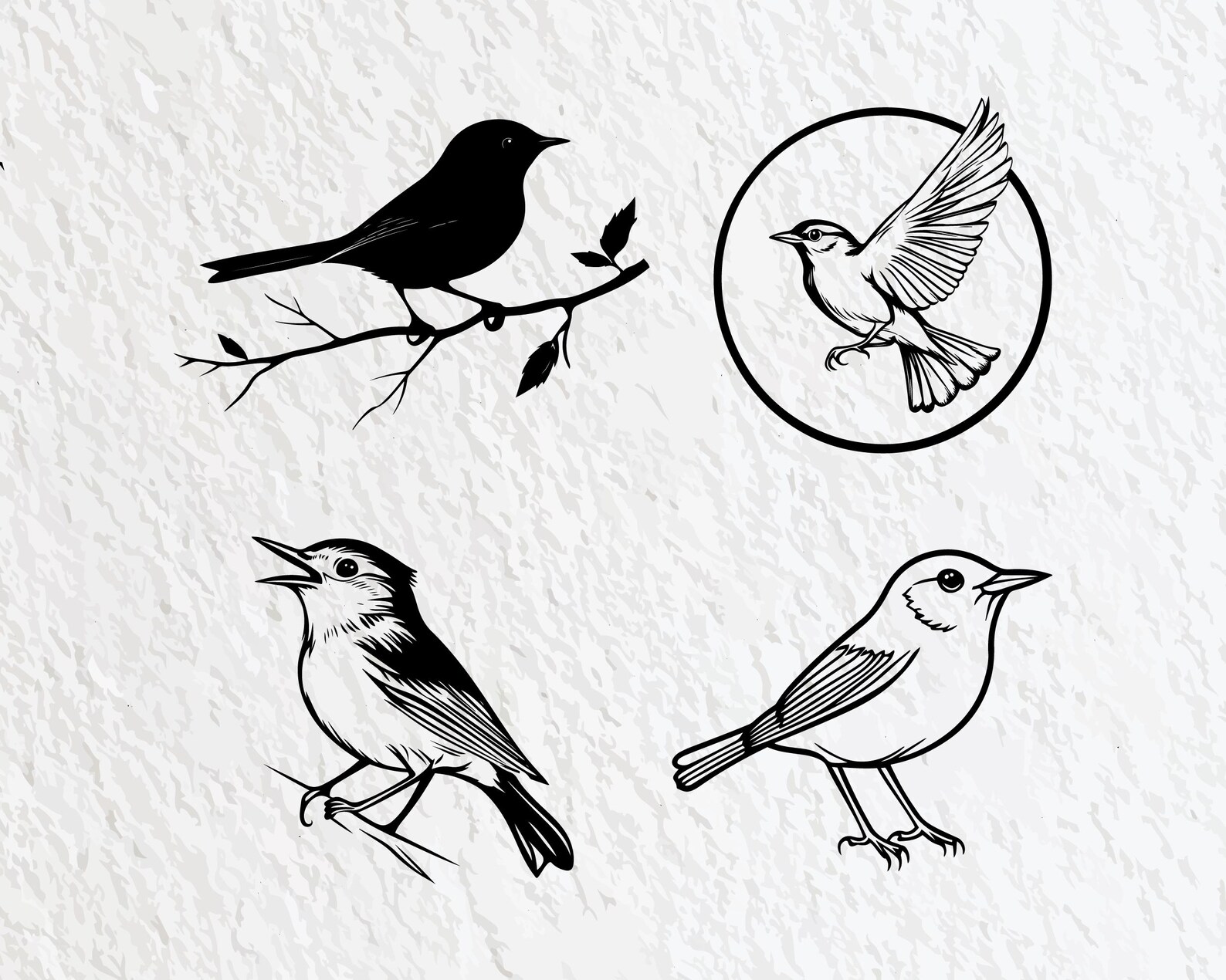 Wren Svg Bundle, Wren Silhouette, Wren Clipart Png, Wren Outline, Wren ...