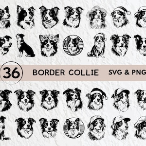 Könnte beinhalten: Ein Set mit 36 Schwarzweiß-Vektorillustrationen von Border Collie Hunden in verschiedenen Posen, darunter mit Hüten, Sonnenbrillen und festlichen Accessoires. Die Illustrationen sind perfekt für den Einsatz in digitalen Projekten, Bastelarbeiten und vielem mehr.