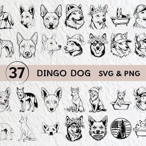 Puede incluir: Un conjunto de 37 ilustraciones digitales en blanco y negro de perros Dingo en varias poses. Las ilustraciones son perfectas para crear manualidades, tarjetas y otros proyectos.