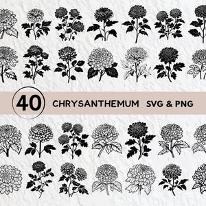 Chrysanthemum Silhouette Svg, Chrysanthemum Svg Bundle, Chrysanthemum Clipart, Chrysanthemum Decal, Chrysanthemum Vector Cricut Logo Cricut
