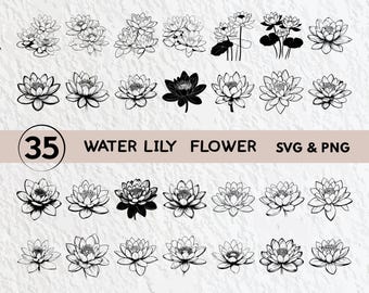Water Lily Flower Svg Bundle, Water Lily Flower Silhouette, Water Lily Clipart Png, Water Lily Outline Vector Logo Icon Decal Cricut Files