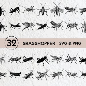 Grasshopper Svg Bundle, Grasshopper Silhouette, Grasshopper Clipart Png, Grasshopper Outline, Grasshopper Vector Logo Icon Cricut Files Svg