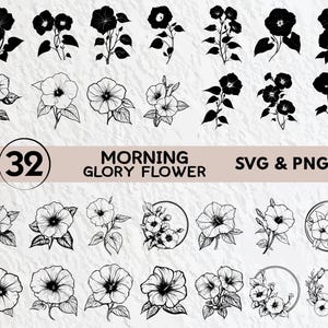 Morning Glory Flower SVG Bundle: Silhouette Clipart, Vector Decal (Digital Download)