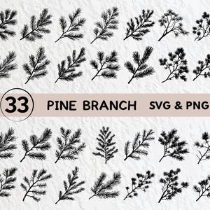 Könnte beinhalten: Ein Satz von 33 schwarzen und weißen Silhouetten von Kiefernästen. Die Äste sind in verschiedenen Formen und Größen, und einige haben Nadeln. Der Text "33 PINE BRANCH SVG & PNG" befindet sich oben im Bild.