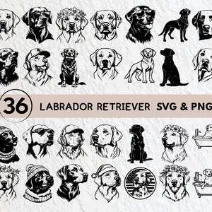 Labrador Retriever Silhouette Bundle: SVG, PNG, Cricut Cut Files