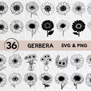 Gerbera Flower Svg Bundle, Gerbera Silhouette, Gerbera Clipart Png, Gerbera Vector, Gerbera Logo, Gerbera Icon, Gerbera Cricut Decal Files